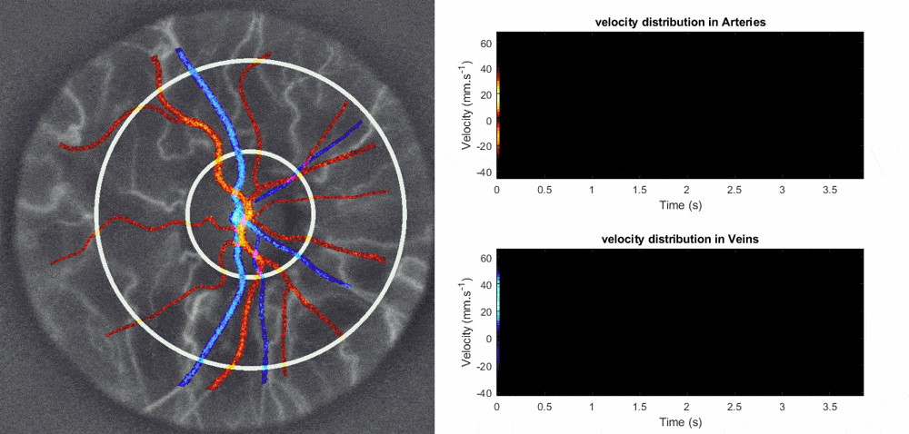 DopplerManager for Doppler holography